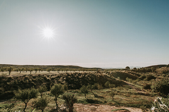 FINCA EL POCICO - photo 51