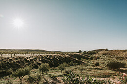 FINCA EL POCICO