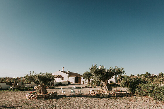 FINCA EL POCICO - photo 43
