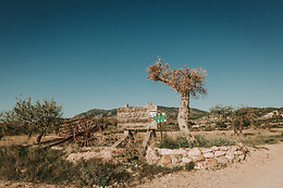 FINCA EL POCICO
