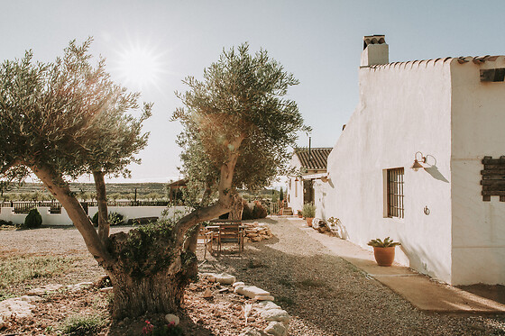 FINCA EL POCICO - photo 19