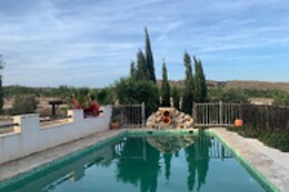 FINCA EL POCICO