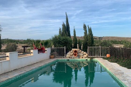 FINCA EL POCICO - photo 55