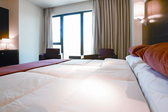 HOTEL VALLES DE GREDOS - photo 6