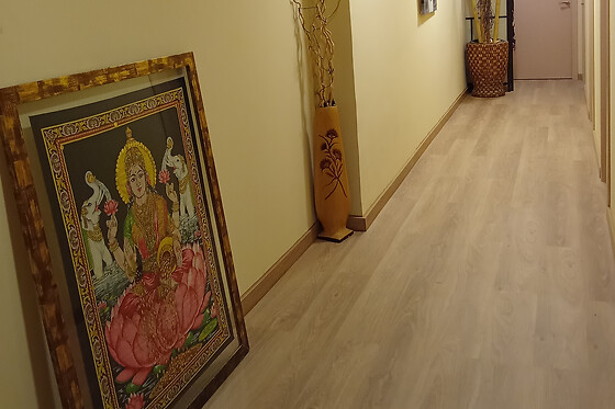 WELLNESS AVENIDA - photo 6