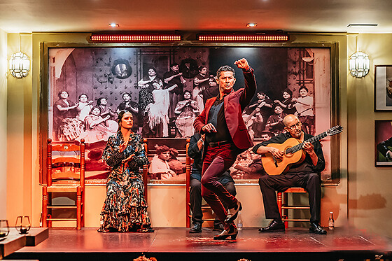 TABLAO FLAMENCO LA CANTAORA - photo 10