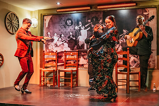 TABLAO FLAMENCO LA CANTAORA - photo 12