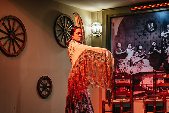 TABLAO FLAMENCO LA CANTAORA - photo 15