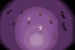 MINERVA PEYÚS INTELLIGENT BEAUTY